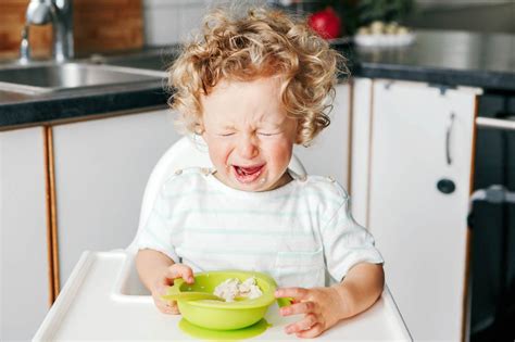 When To Worry About Your Toddlers Tantrums Happiest Baby