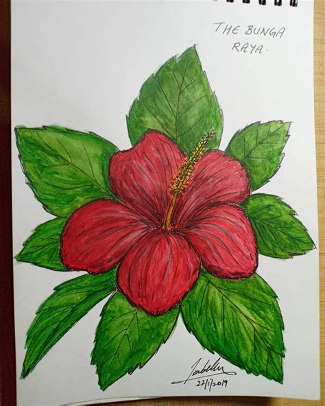 Hawaiian Flower Drawing Hibiscus Flower Drawing Flower Drawing Images