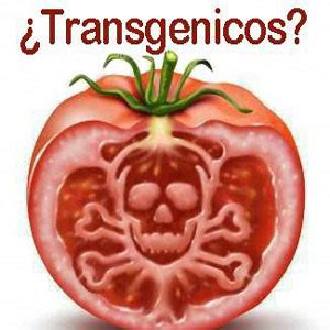 Alimentos Transgenicos Portal De Biolog A