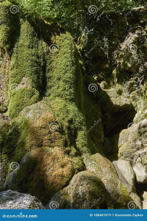 Rocks Covered With Green Moss Stock Image Image Of Park Scenery