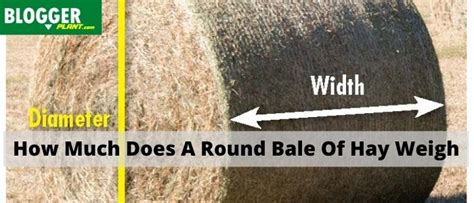 How Much Does A Round Bale Of Hay Weigh