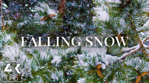 Amazing Winter Tv Screensaver In 4k Falling Snow 8 Hours Beautiful