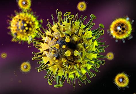 Flu Virus Consult Qd
