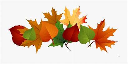 Leaves Fall Background September Clipart Transparent Falling