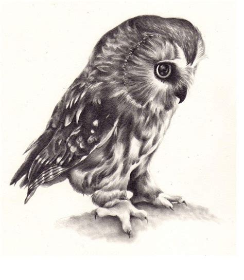 This Looks So Real Owl Tattoo Design Owls Drawing Owl Tattoo