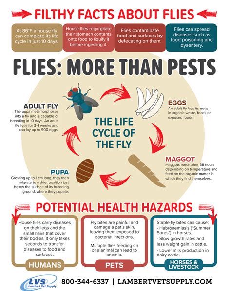 Flies More Than Just Pests