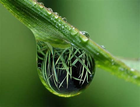 50 Mind Blowing Examples Of Macro Photography