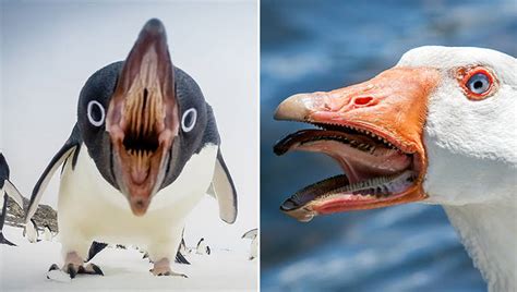 30 Scary Pictures For Spooky Time - Creepy Gallery | eBaum's World