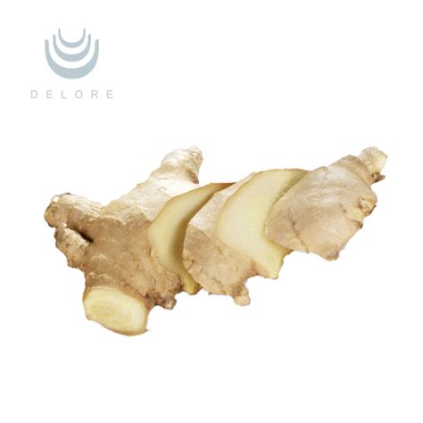 High Quality 100 Natural Ginger Extract Ginger Root Extract Ginger
