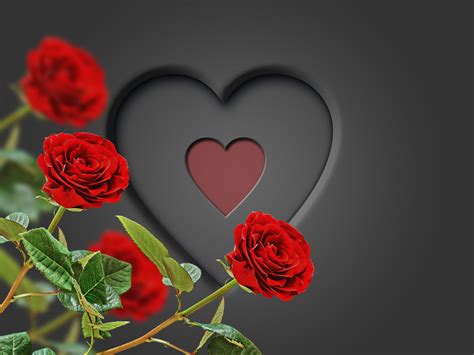 Heart With Red Roses 4k Ultra Hd Wallpaper Background Image