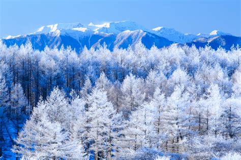 Discover Winter In The Japanese Alps 6 Days Kimkim