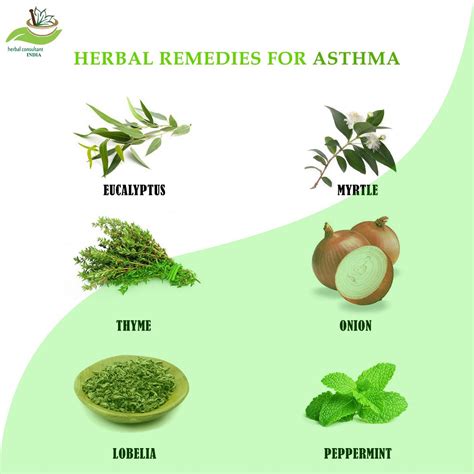 Asthma Herbalism Natural Asthma Remedies Asthma