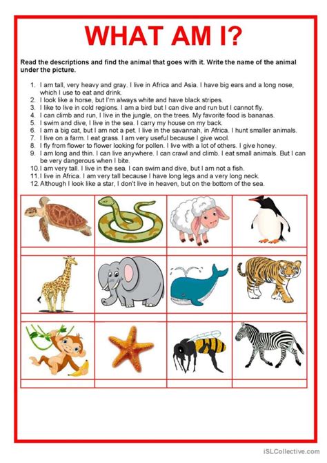 Animals What Am I English Esl Worksheets Pdf And Doc