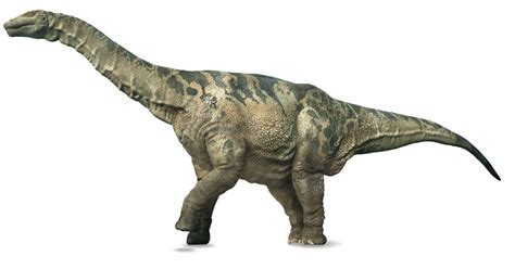 Because of this decision the name brontosaurus was commonly used outside of scientific literature for what riggs. Argentinosaurus | Argentinosaurus Facts | DK Find Out