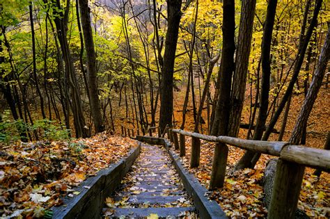 10 Hidden Spots To Check Out Fall Colours In Toronto