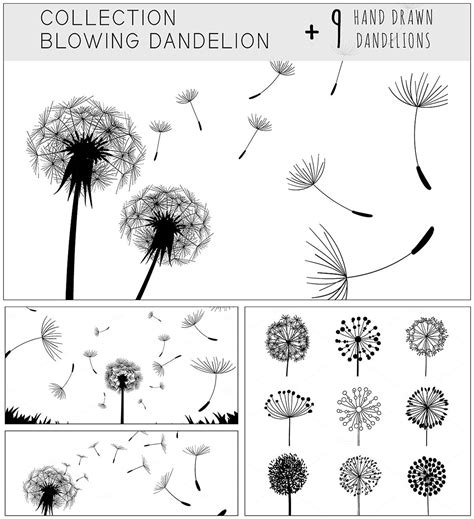 Dandelion Illustration Set Free Download