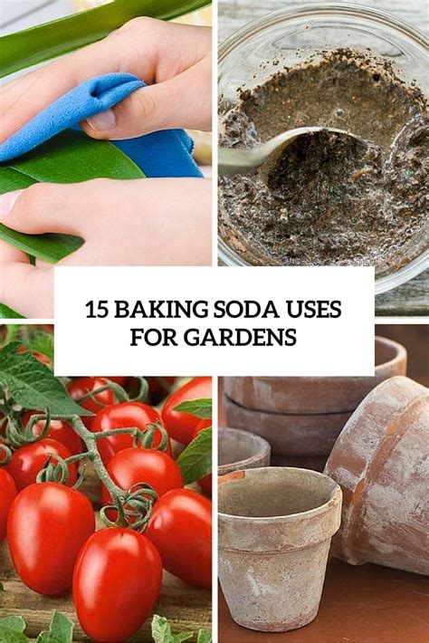 15 Cool Baking Soda Uses In The Garden Garden Ideas And Outdoor Decor