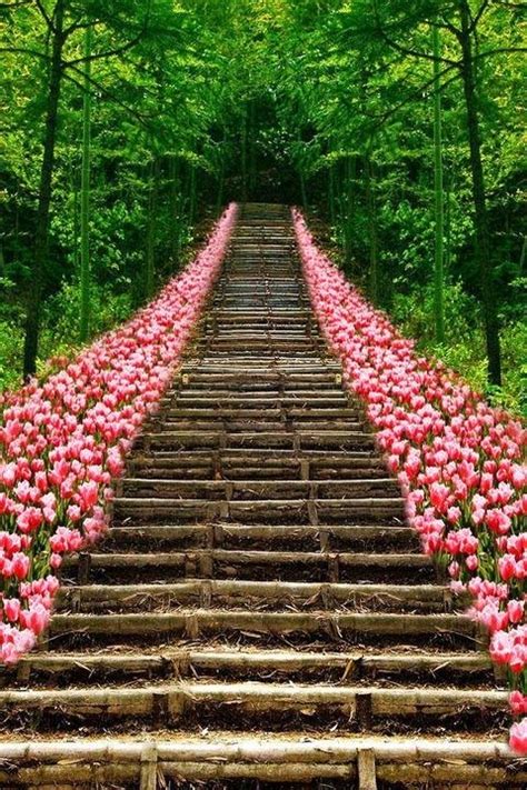 Pathway Of Pink Flowers ♡ Stairway To Heaven Beautiful World