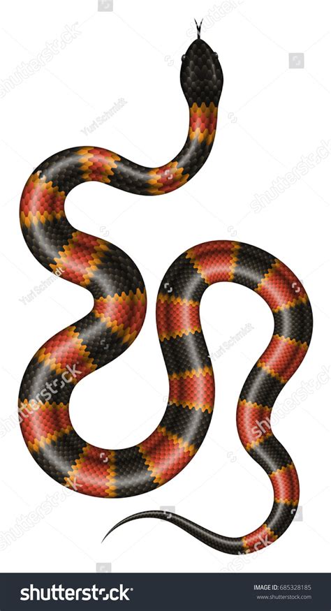 Coral Snake Vector Illustration Isolated Tropical Stock Vector Royalty