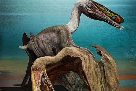 Baby Pterosaurs Were Cute Defenceless And Unable To Fly New Scientist