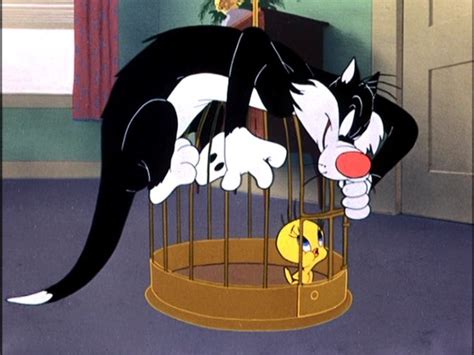 sylvester and tweety sylvester and tweety looney tunes tweety and sylvester