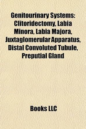 Genitourinary System Introduction Clitoridectomy Labia Minora Labia