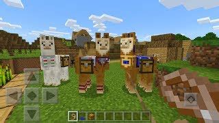 A cactus is a plant block that generates naturally in dry areas. 【How to】 Steer Minecraft Llama