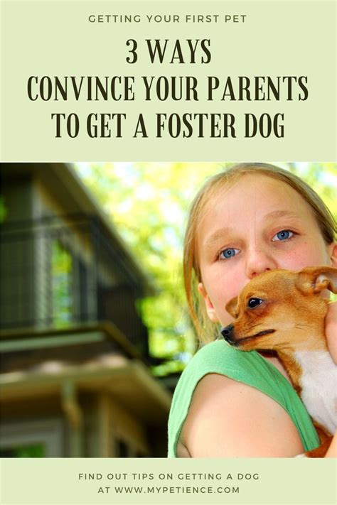 How To Convince Your Parents To Get A Dog For Your Home Small Pets