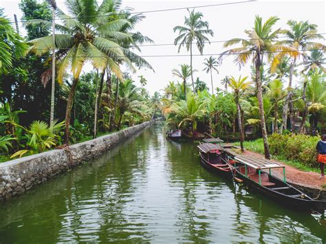 Here one can see many ayurvedic medical colleges and. 5 Reasons to Explore the Kerala Backwaters by Canoe! - Wee ...