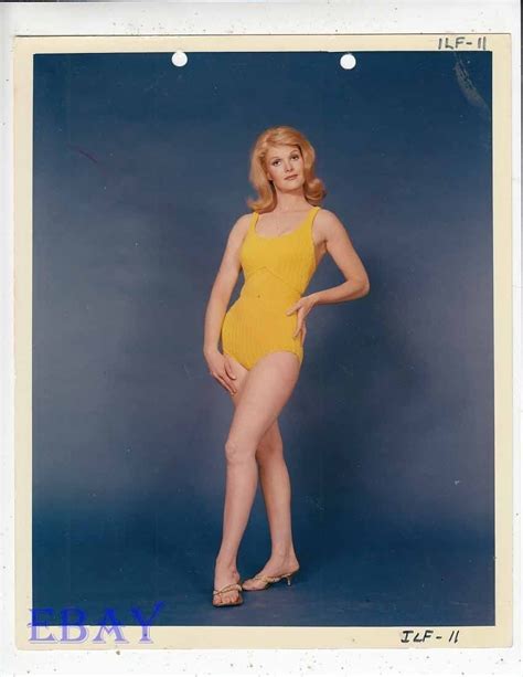 Jean Hale Sexy Leggy Vintage Color Photo Ebay