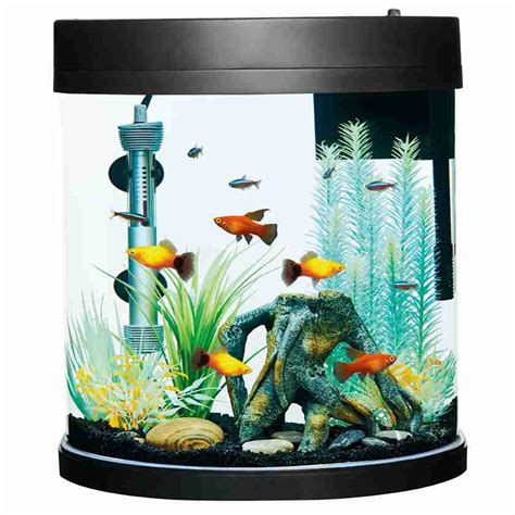 Top Fin Bow Front Aquarium Starter Kit 36 Gallon Ph