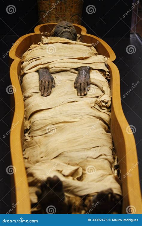 Egyptian Mummy Sarcophagus Editorial Image 24386278
