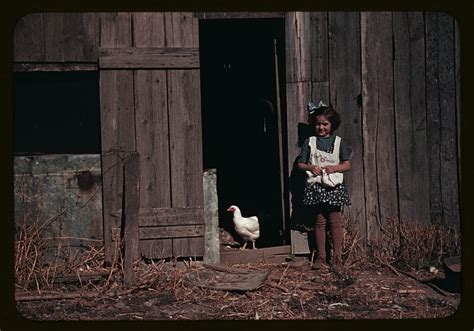 11 Wondrous Vintage Farm Photos Modern Farmer