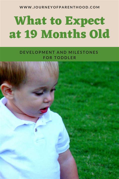 What To Expect At 19 Months Old Development And Milestones To Look
