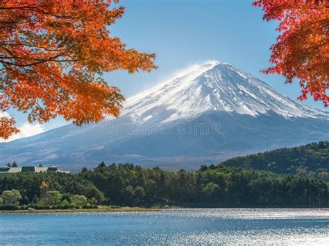 Mount Fuji In Autumn Color Japan Stock Photo Image Of Asian Fuji