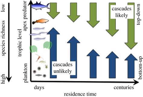 Evaluating Trophic Cascades As Drivers Of Regime Shifts In Different