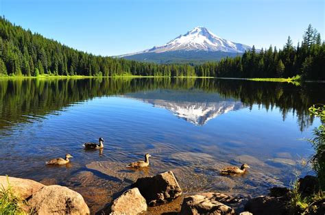 15 Best Lakes In Oregon The Crazy Tourist