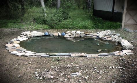 Undertaking the project of building a biofilter duckpond is no small feat. DIY Duck Pond | Duck pond, Pond, Outdoor