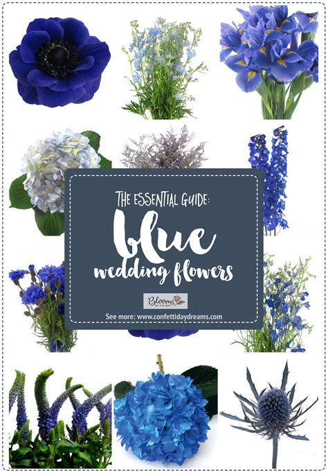 Essential Blue Wedding Flowers Guide Types Names Seasons Pics