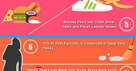 11 Interesting Facts About Cleaning Your House Imgur