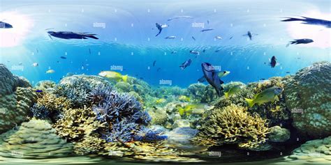 360° View Of New Caledonia Coral Reef Reserve Alamy
