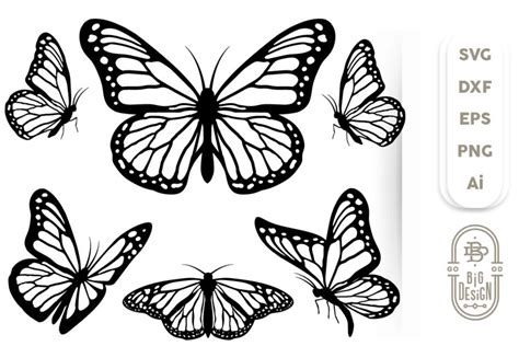 Butterfly Clipart Butterfly Sublimation Bundlebutterfly Svg Utterfly