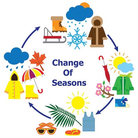 Premium Vector | Change of seasons illustration
