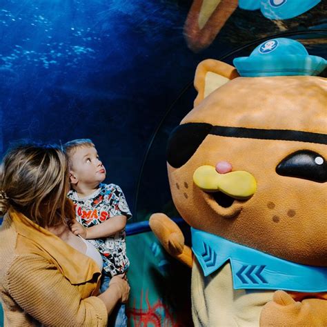Join The Intrepid Octonauts At Sea Life This Summer Primary Times
