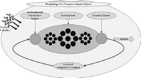 Generic Model Of A Complex Adaptive System Download Scientific Diagram