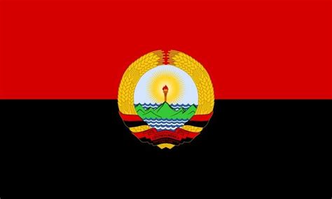 Flag Of The United Syndicalist States Of Central America Flag Art