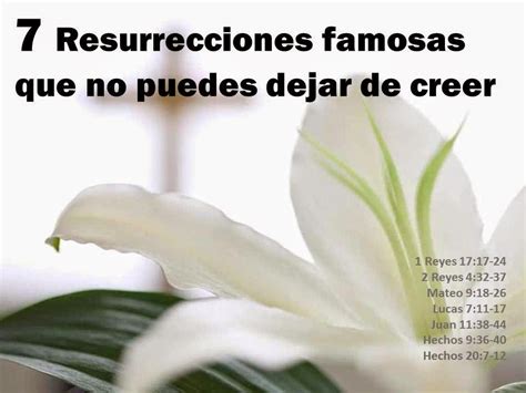 Bibliazos 7 Resurrecciones Famosas Que No Puedes Dejar De Creer