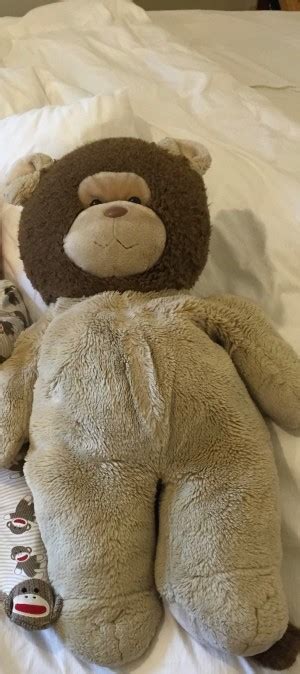 identifying a stuffed bear thriftyfun