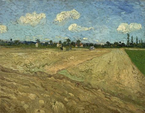Van Gogh Sogno Di Dipingere E Poi Dipingo Il Mio Sogno Tutt Art