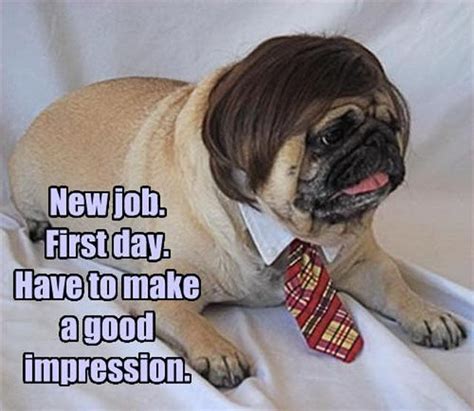 New Job First Day Have To Make A Good Impression Memes